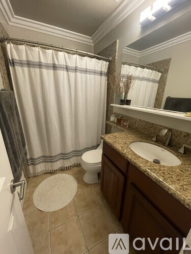 A bathroom with a toilet, sink, and shower curtain.