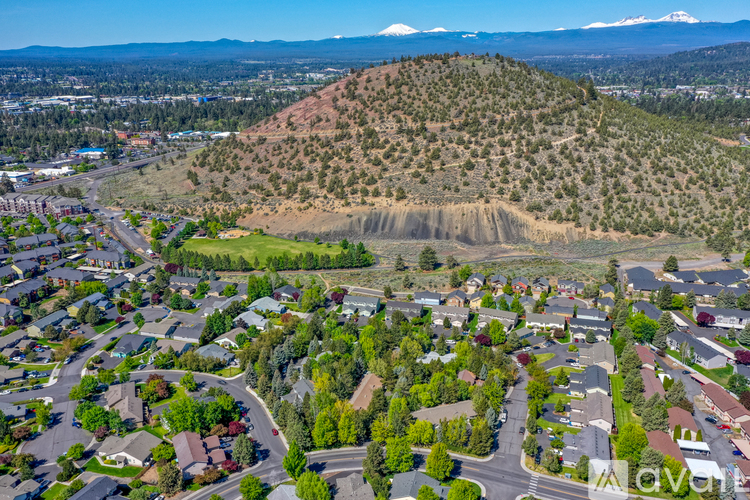 A bird's eye view of a residential area with houses, trees, and a mountain in the background.