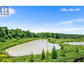 A serene landscape with a lake surrounded by greenery and trees.