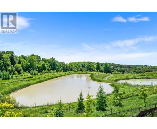 A serene landscape with a lake surrounded by greenery and trees.