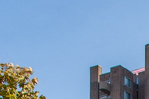 434 George Street #4