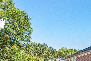 Apartments Or Houses For Rent New Haven Ct Apartments Or Houses For Rent New Haven Ct