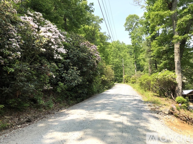 A gravel road is flanked by green trees and shrubbery.