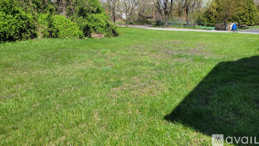 A grassy field with trees and a blue object in the distance.