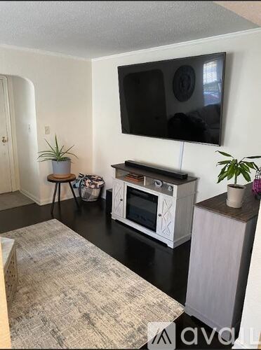 A living room with a television, a sofa, and a small table with a plant on it.