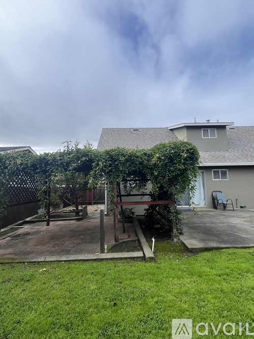 A backyard with a fence, a tree, and a house.