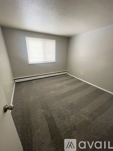 A room with a carpeted floor and a window.