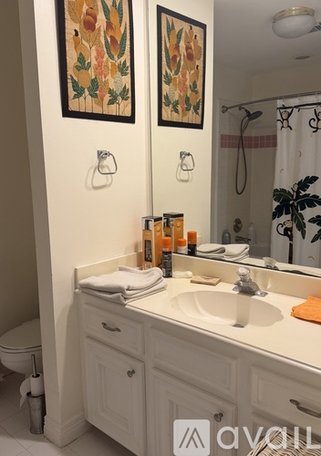 A bathroom with a white sink and a mirror above it.