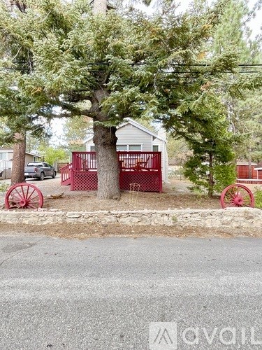 A tree stands in front of a white house with a red fence.
