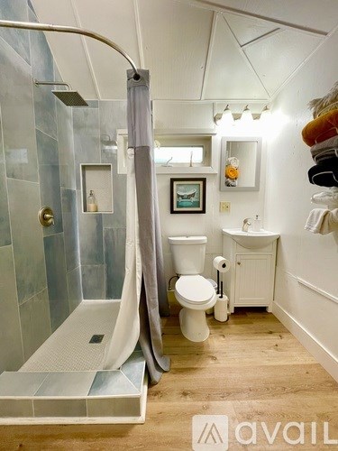 A bathroom with a walk-in shower and a toilet.
