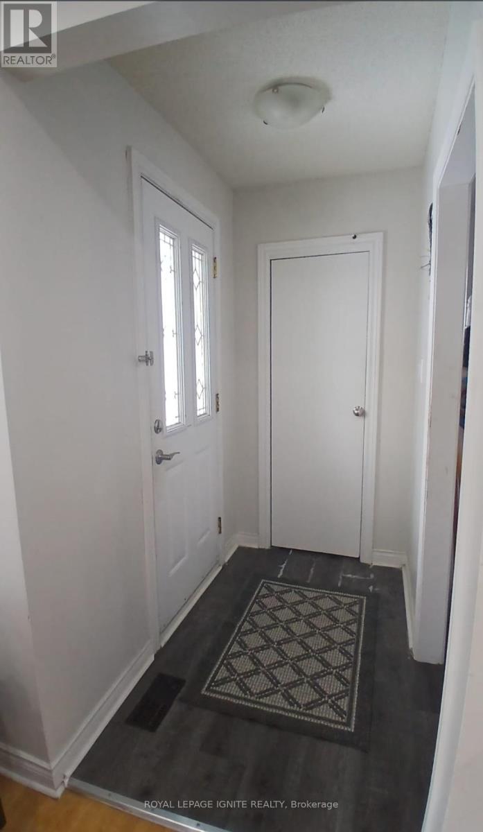 A hallway with a rug and two doors.