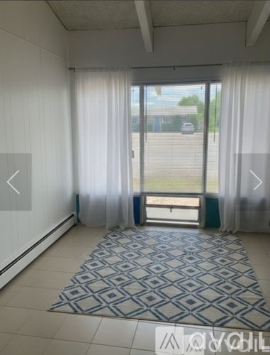 A room with a large rug and a sliding glass door.