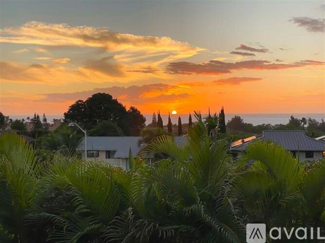 A sunset view with palm trees and houses in the foreground.