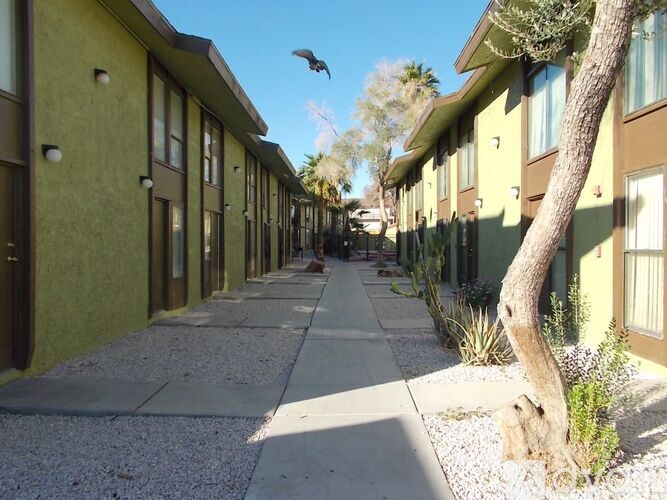 A row of houses with a tree in the foreground.