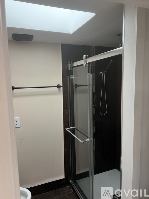 A bathroom with a walk in shower and a toilet.