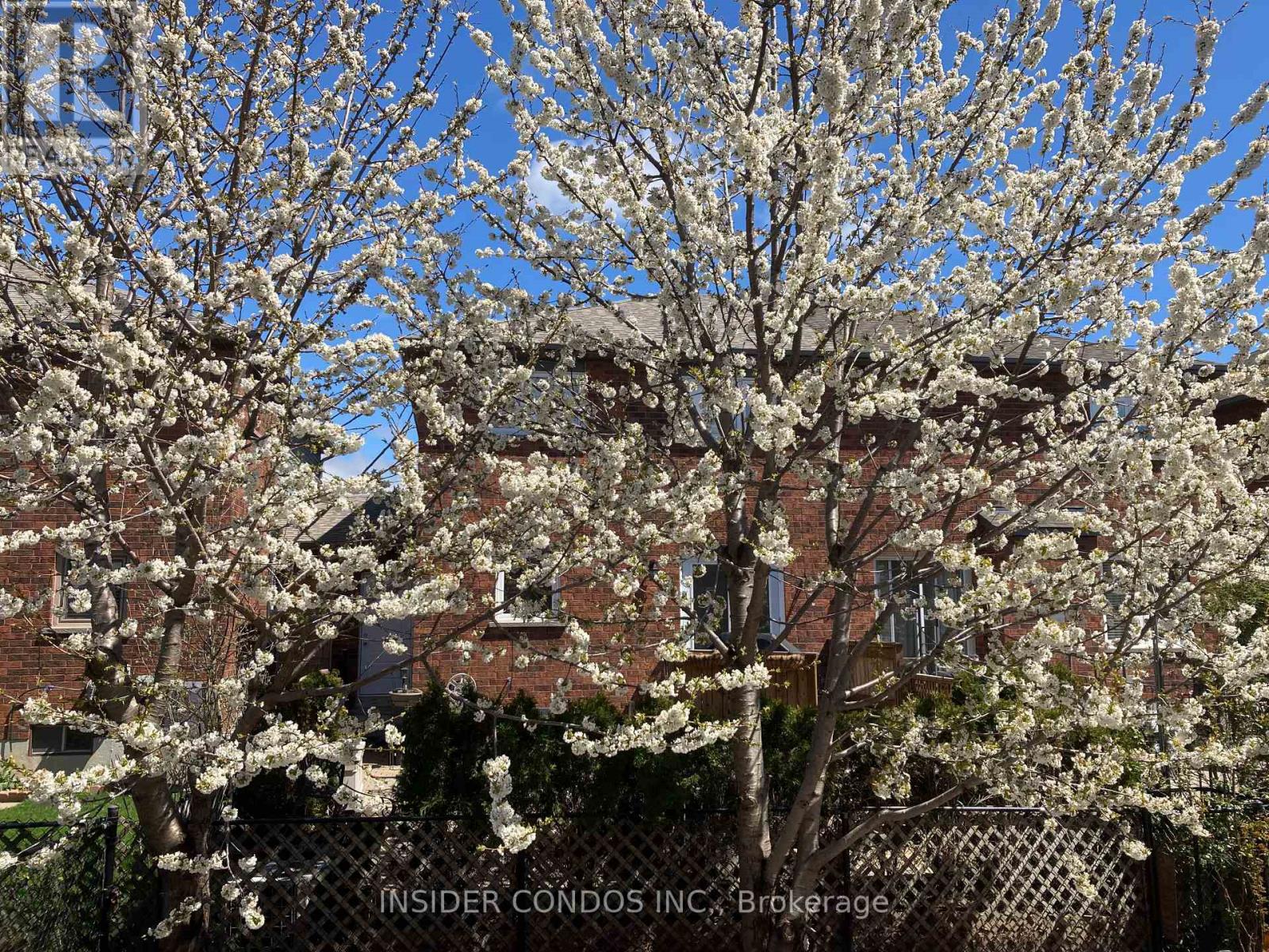 A tree with white blossoms in front of a brick building.