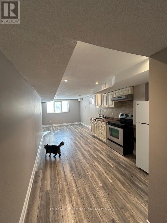A cat is walking down a hallway in a modern kitchen.