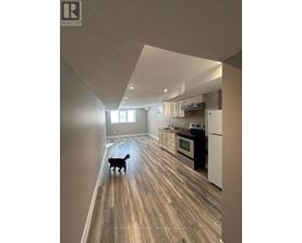 A cat is walking down a hallway in a modern kitchen.