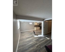 A cat is standing on a wooden floor in a room.