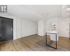 A room with a black door and a white cabinet.