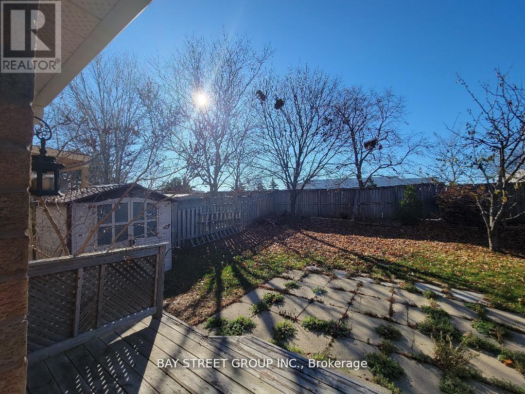A sunny day in a yard with a fence and trees.