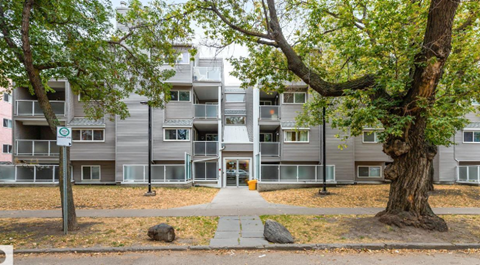 A tree in front of apartment buildings.