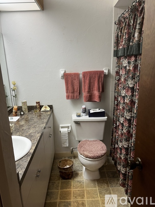 A bathroom with a toilet, sink, and shower curtain.