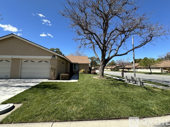 A house with a tree in front of it.