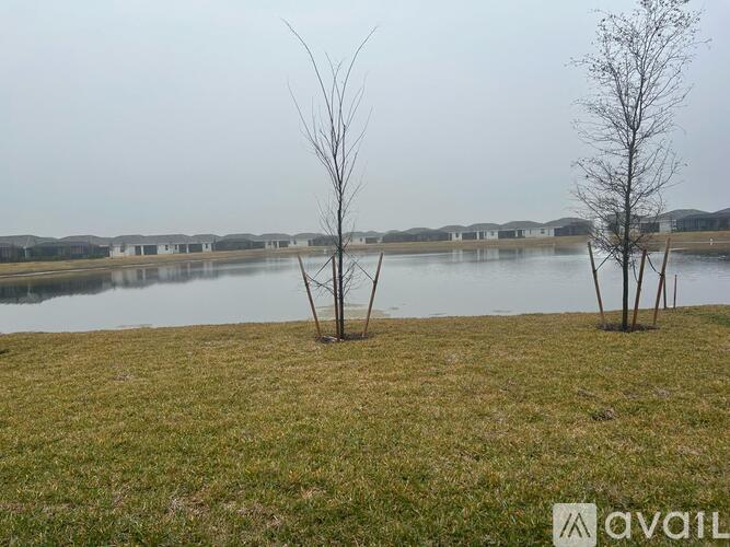 Two leafless trees stand in a field by a lake.