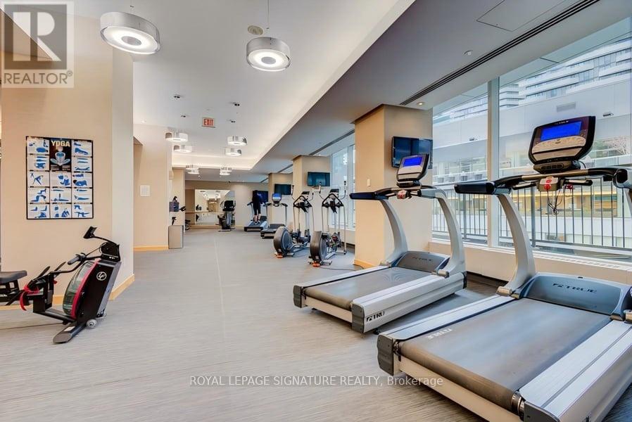 A gym with treadmills and elliptical machines.