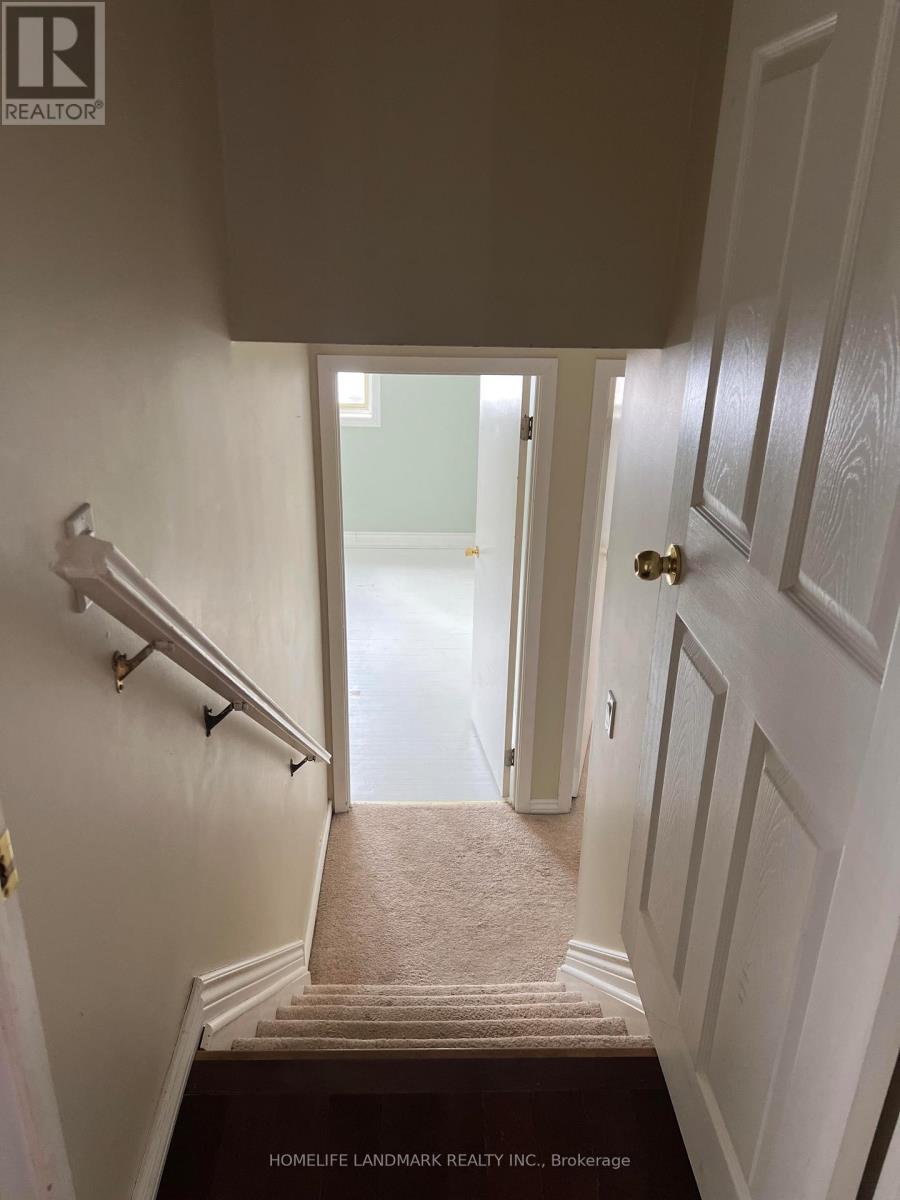 A hallway with a carpeted stairway leading to a door.