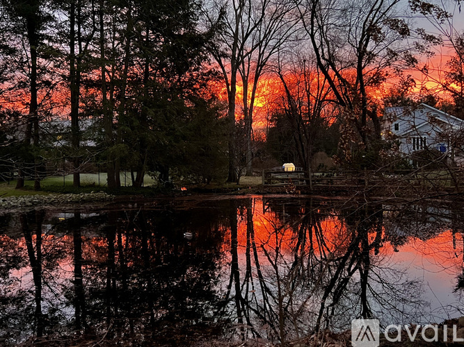 A beautiful sunset reflecting on a calm body of water with trees in the background.