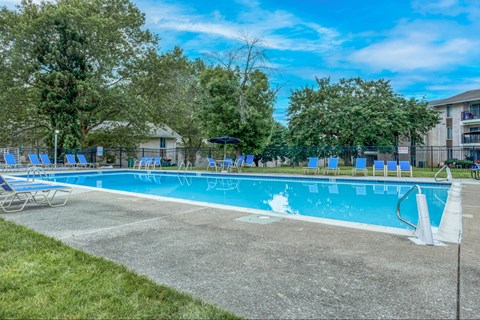 A large outdoor swimming pool surrounded by trees and lounge chairs.