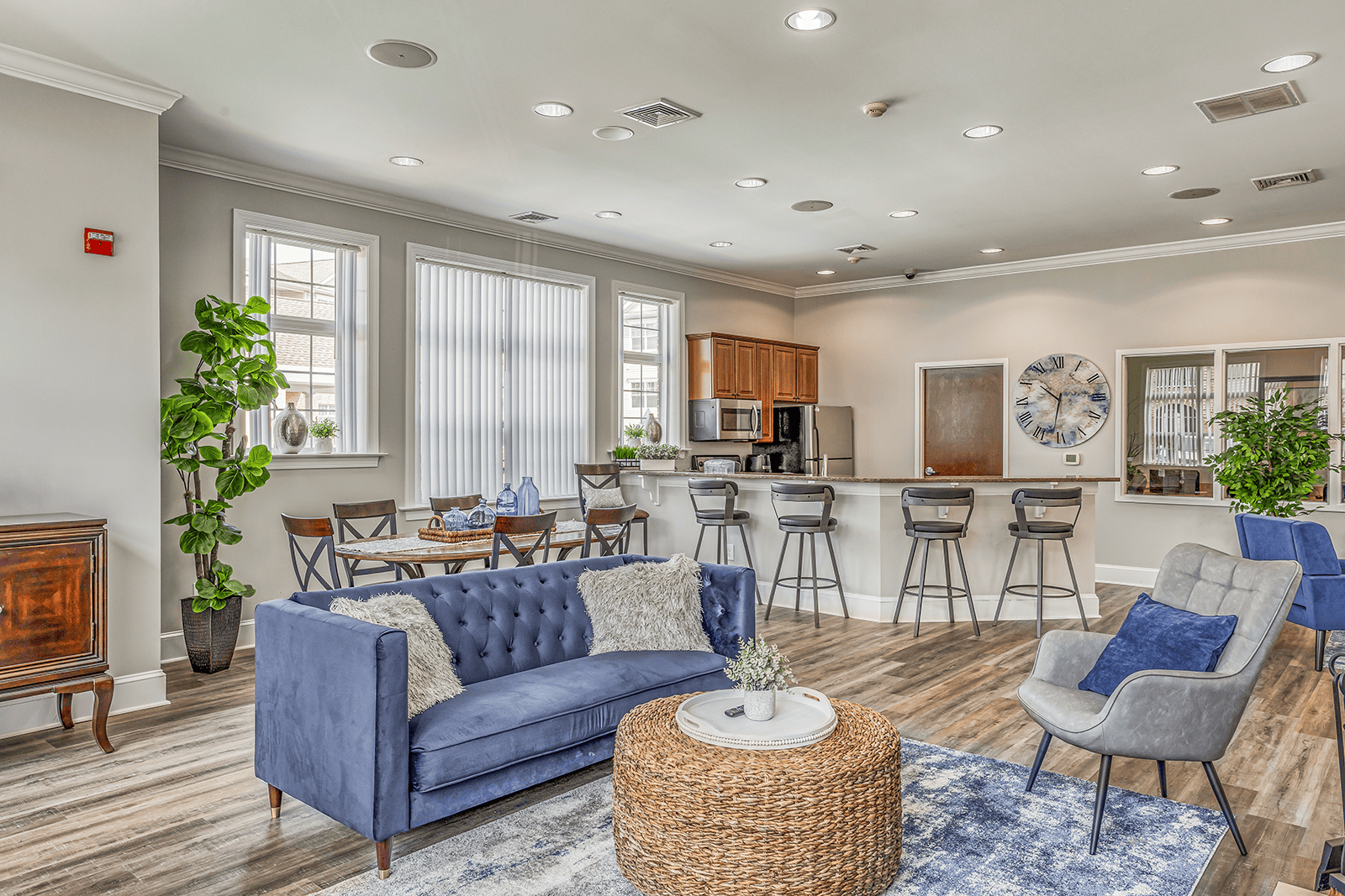 A blue couch is in the middle of a living room with a wooden cabinet and a potted plant.