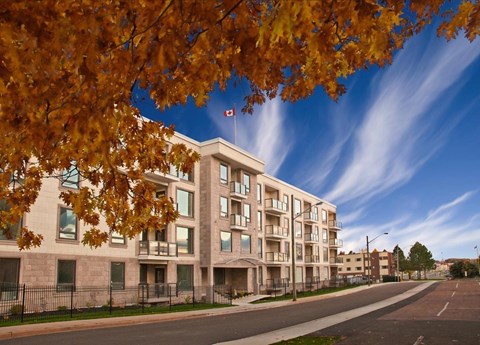 A building with a Canadian flag on top is surrounded by trees with yellow leaves.