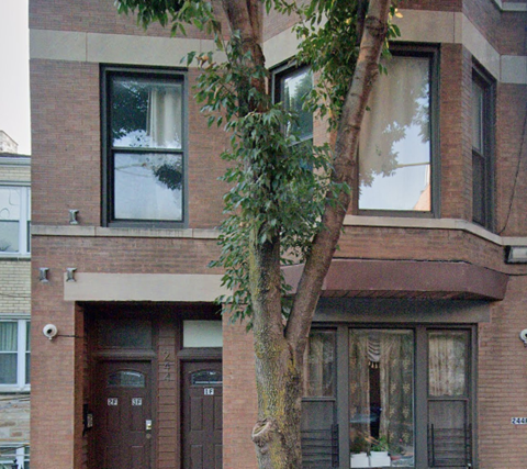 A tree grows out of a window well on the side of a brick building.