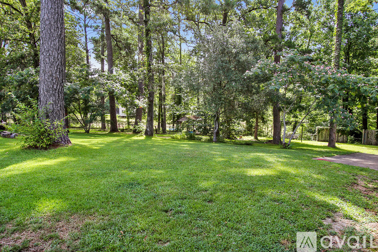 A grassy area surrounded by trees in a park.