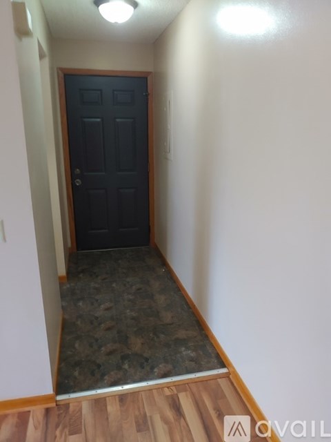 A hallway with a black door and a wooden floor.