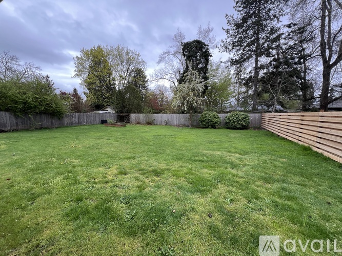 A backyard with a wooden fence and a green lawn.