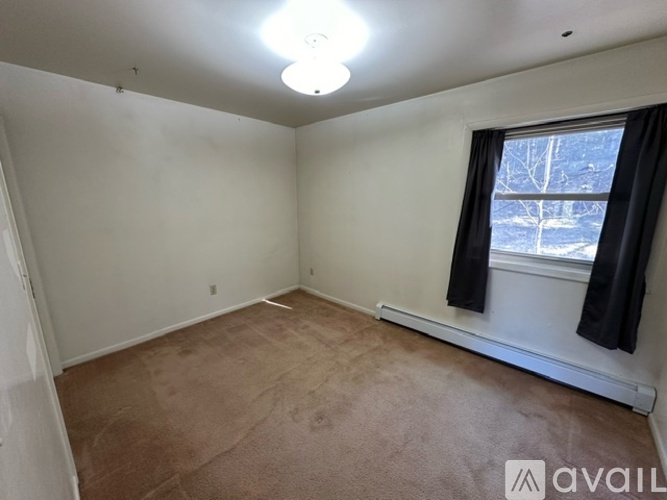 A room with a carpeted floor and a window with a view of trees outside.