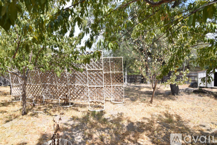 A metal fence encloses a small tree in a dry, grassy area.