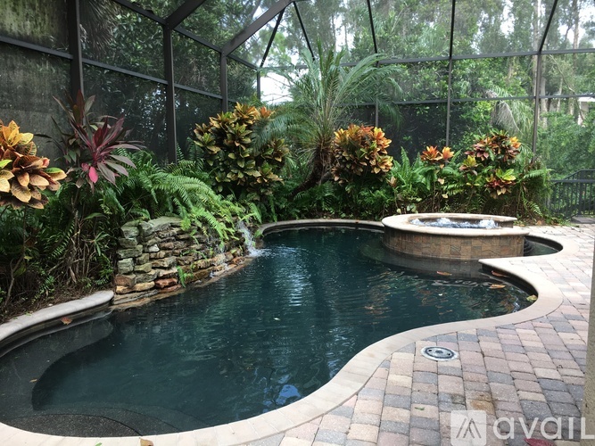 A pool surrounded by a stone wall and plants.