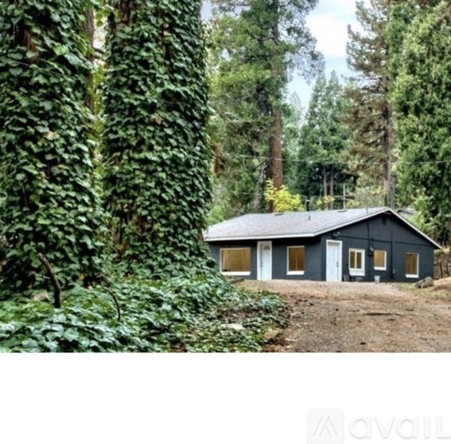 A house is surrounded by greenery and trees.