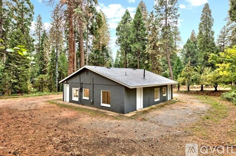 A small house with a grey roof is surrounded by trees.