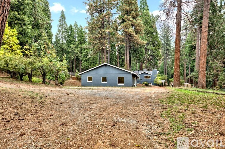 A blue house is surrounded by trees in a wooded area.