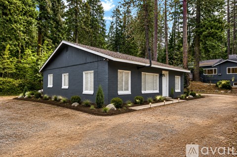A blue house is surrounded by trees in a wooded area.