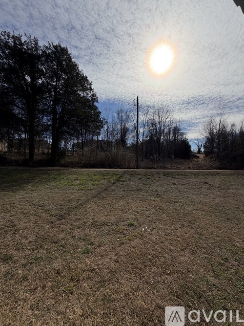 A field with a bright sun in the sky.