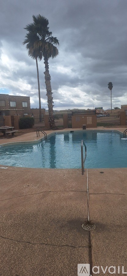 A pool surrounded by a fence with a palm tree in the background.