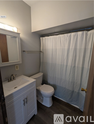 A bathroom with a toilet, sink, and shower curtain.