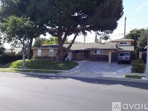 A house with a tree in front of it.